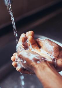 Wash your hands washing hands